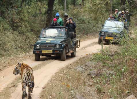 jeep safari kanha