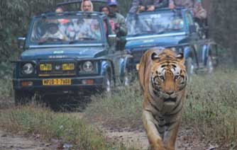kanha park